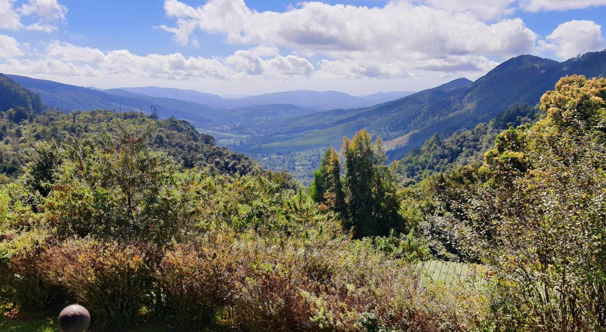 Magoebaskloof Hotel Tzaneen Eksteriør billede