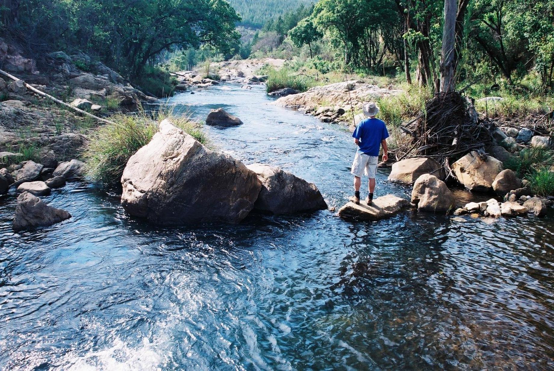 Magoebaskloof Hotel Tzaneen Eksteriør billede